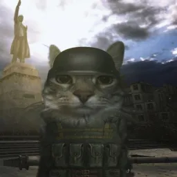 Soldier cat