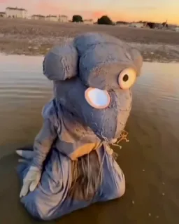 ناراحتی موش