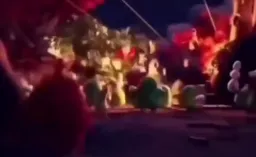 پرنده‌ها درون هرج و مرج