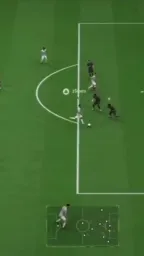 FIFA bug