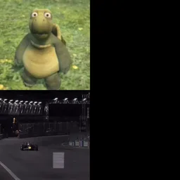 مقایسه لاک‌پشت با مکس ورشتاپن