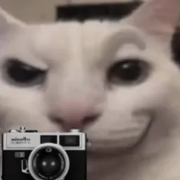 Cat get pictures 