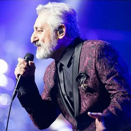 فانک خانوم گل معین