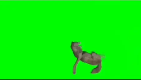 Wolf dancing green screen