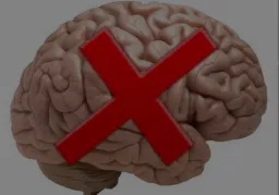 نداشتن مغز