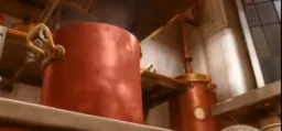 نه اون ماهی رو نبر
