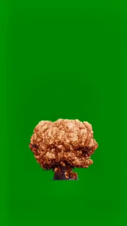 The explosion of the green screen is a different version