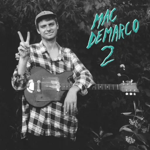 Mac DeMarco --  Freaking Out The Neighborhood