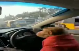 Dangerous driving of monkey