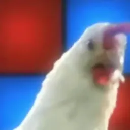 پارتی خروس ها