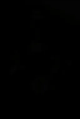 واکنش صادقانه شزنی