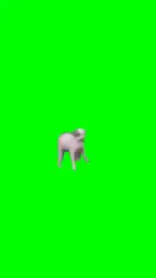 Dog dancing green screen