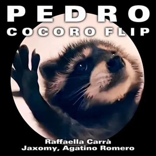 Raffaella Carrà - Pedro (Jaxomy & Agatino Romero Remix)