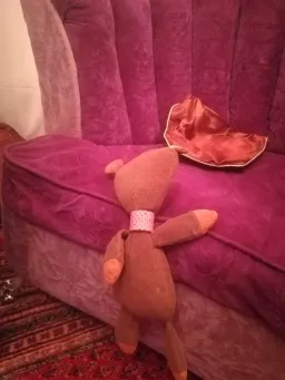 Mr. Beans teddy