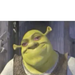 Shrek with tired eyes