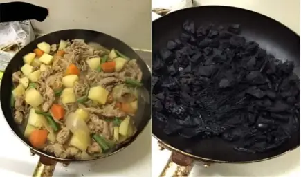 Cooked and Burned food