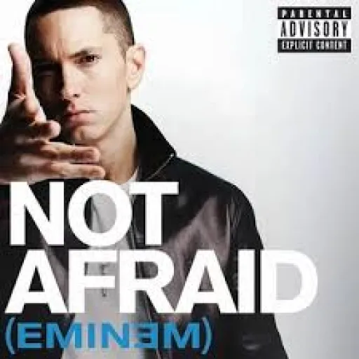 Not Afraid -eminem