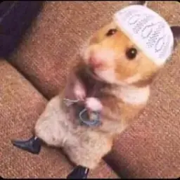 Muslim mouse