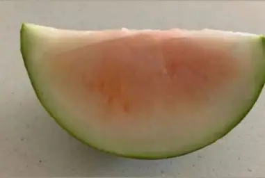 White watermelon