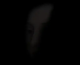 نگاه مخفیانه