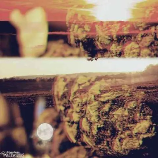 صبح ظهر شب ـ حصین