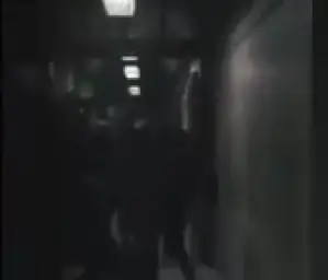 Batman escaping police