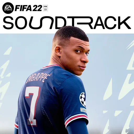 Followers-FIFA 22