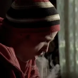 زندگی معمولی جسی