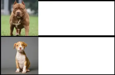 Comparison of small and large two -surface pitbulls