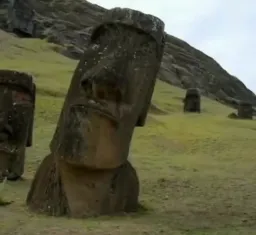 واکنش صادقانه کاکاسنگی