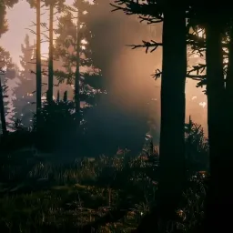 Honest Reactions to Red Dead Redemption 2 Beauties (Version 2)