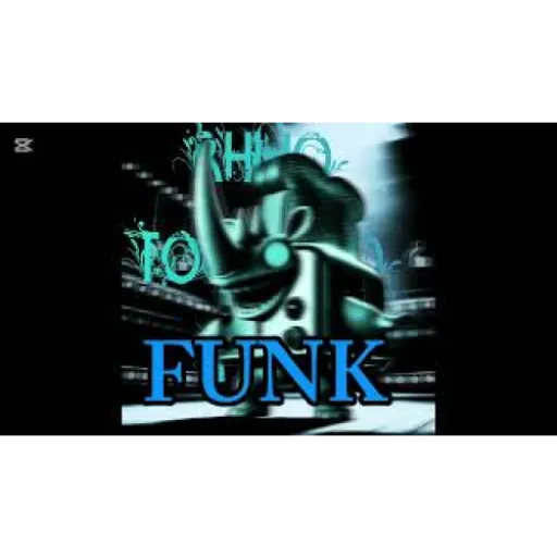 RHINO TOESTRINO FUNK