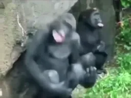 گوریل روانی