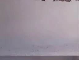 این شما و این کار من و شاگرد آمریکایی من