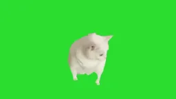 گربه درحال اوغ زدن پرده سبز