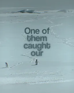 پنگوئن اما چرا