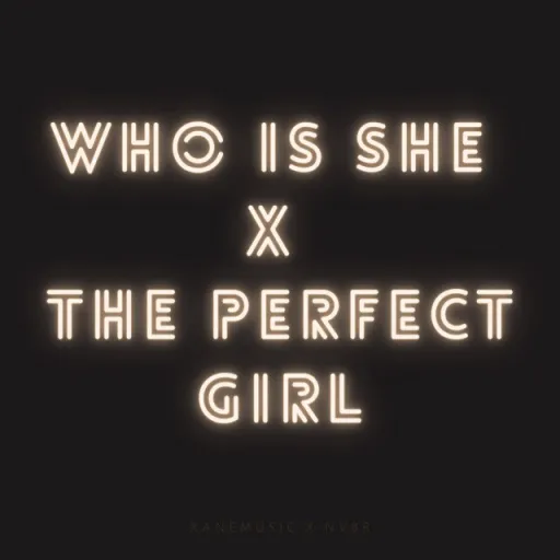 Who is she x the perfect girl