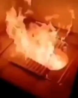 fire toilet
