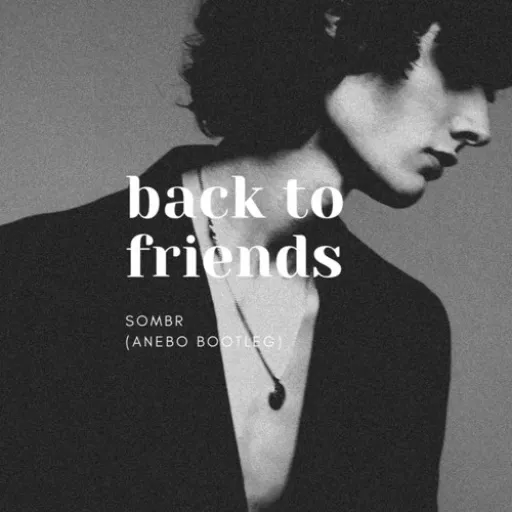 Sombr - Back To Friends