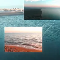 The honest reaction of the Persian Gulf