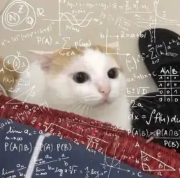 Cat is calculating 