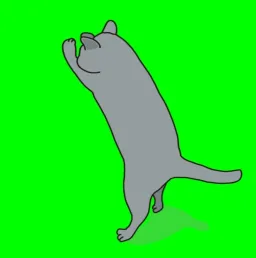 cat 1