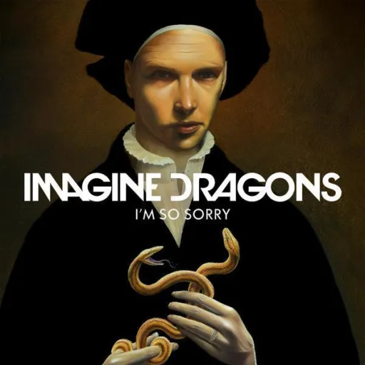 I'm So Sorry - Imagine Dragons