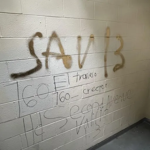 Dancing With The Devil - sav13