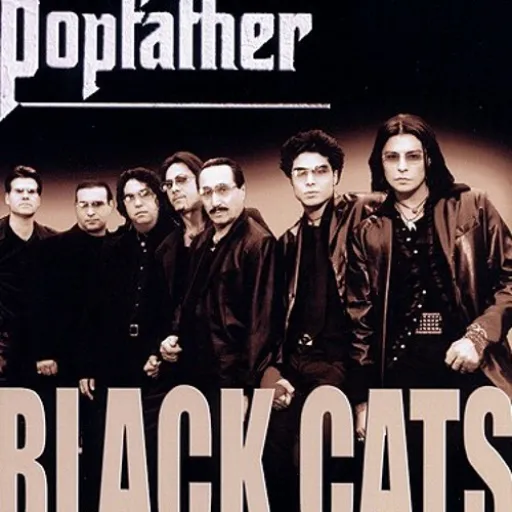 آفتاب - بلک کتس