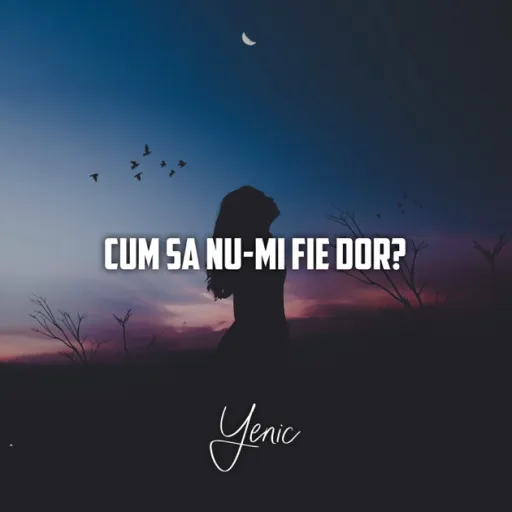 Yenic - "Cum sa nu-mi fie dor"