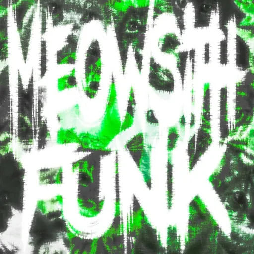 MEOWSITH  FUNK- Ultra Slowed