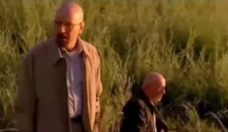 نگرانی والتر و بیخیالی مایک