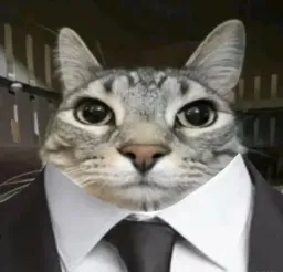 گربه با کت و شلوار
