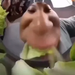 مرد درحال کاهو خوردن